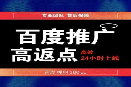 某某SEM服务公司如何帮助企业实现ROI最大化